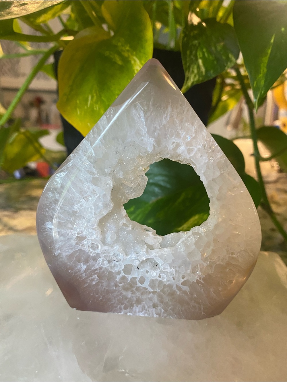 Druzy Agate Teardrop - Polished Crystal Display